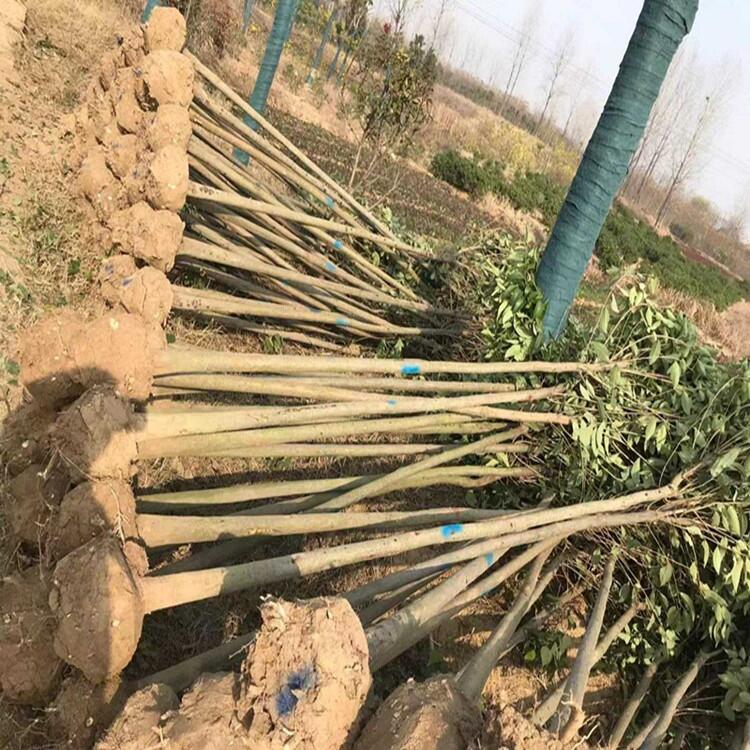 3ֵ  5ޱa؃r
