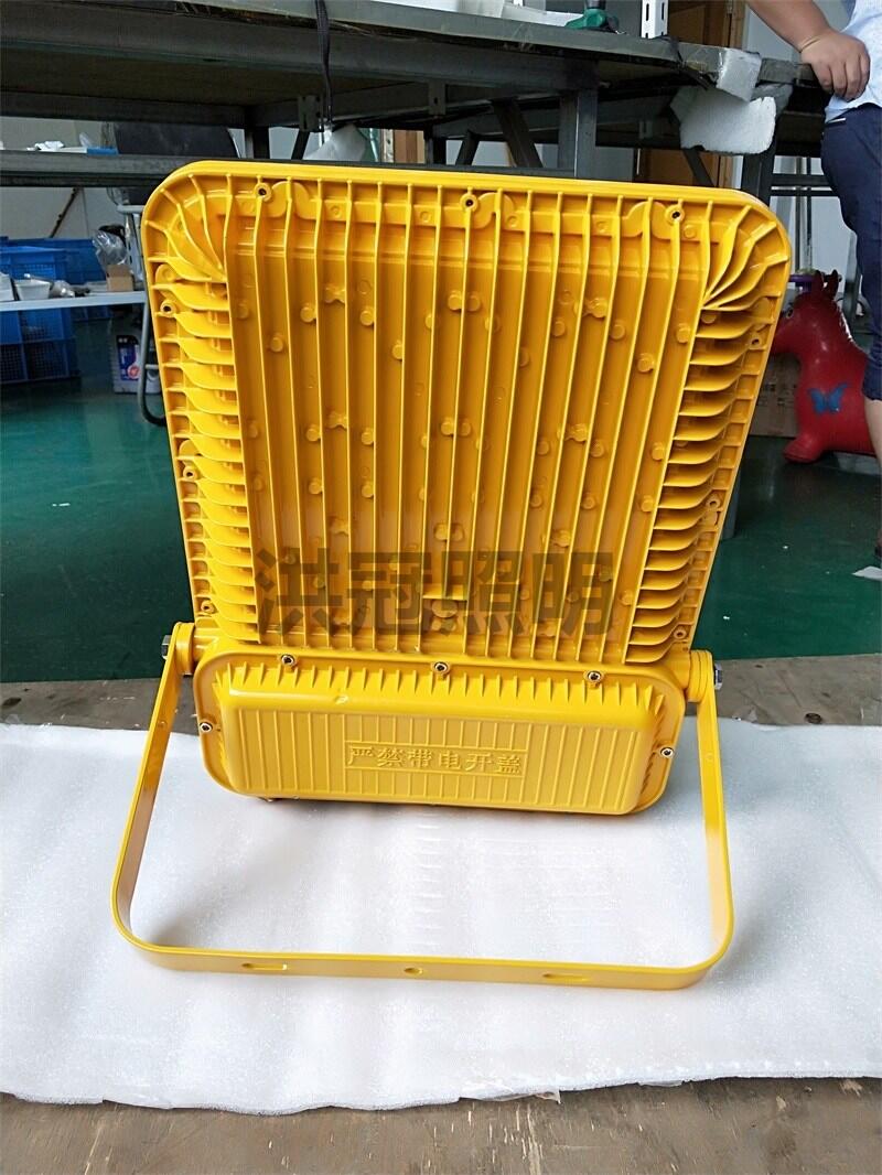 RLEFL319 LEDͶ   100w