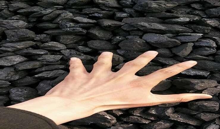 gӭhoúVϏSֱN