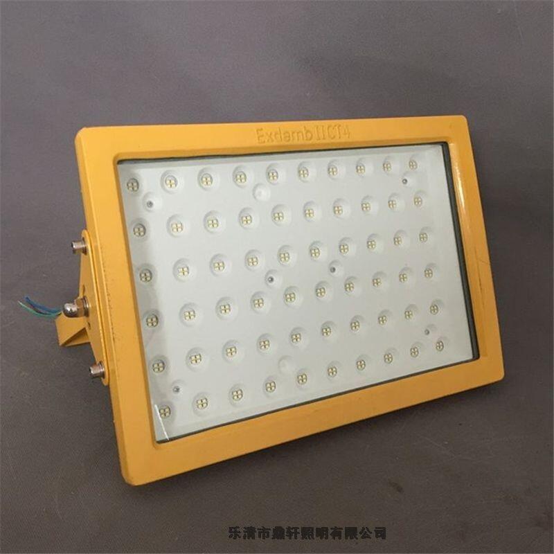 ܎DDZG-AE211-50WLEDڒʽb
