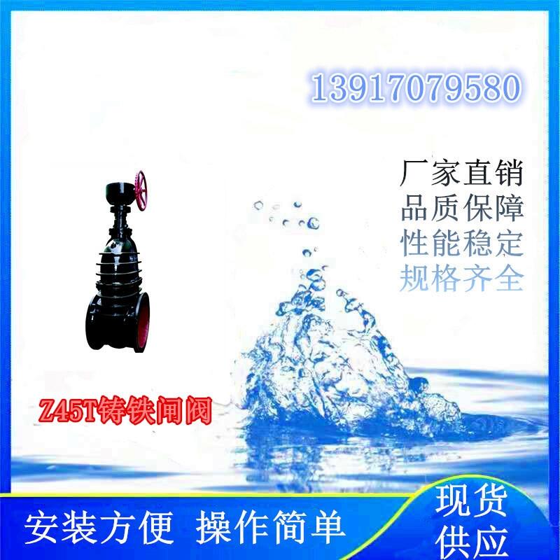 ĿʹõZ45TTFly
