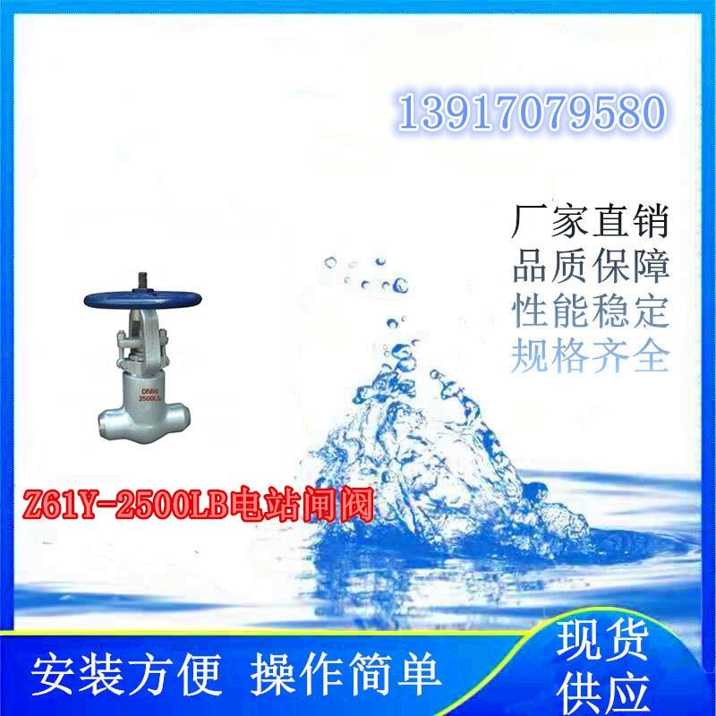 ĿʹõZ61Y-2500LBվly