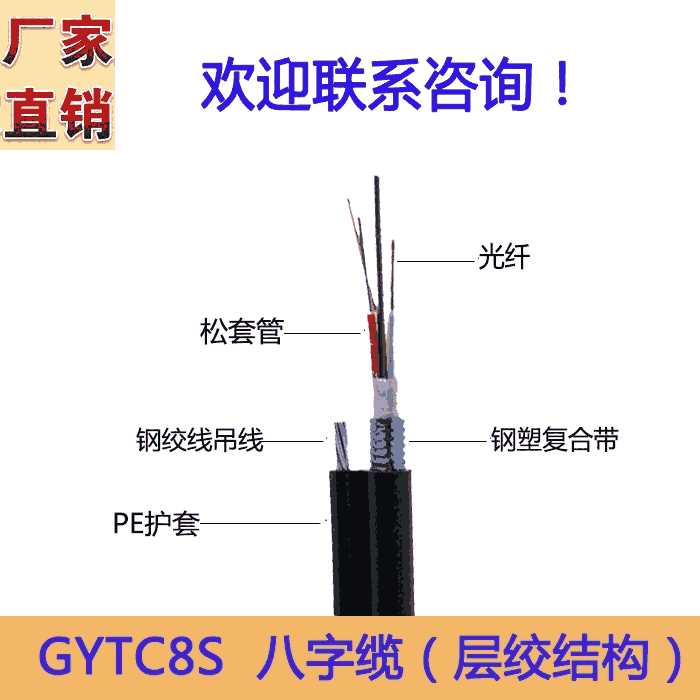 GYTC8S|Գʽܿհ͹||S