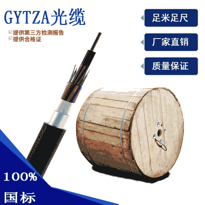 GYTZA|GYTZA|rGYTZA|r