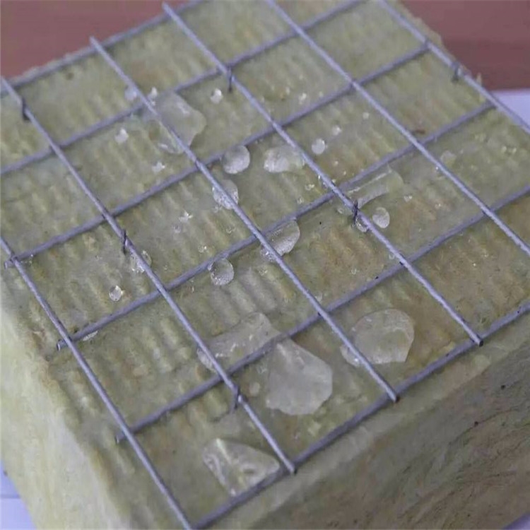hp܈rް̓rN