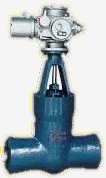 վlyZ961Y