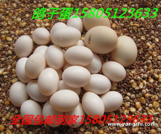 ӵôuurӵ