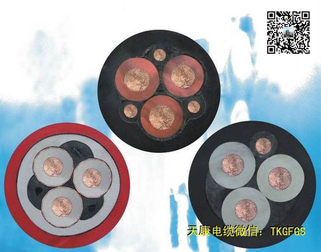 ݵ쿵BPYJVP2PR-TK3X2.5+3X0.5