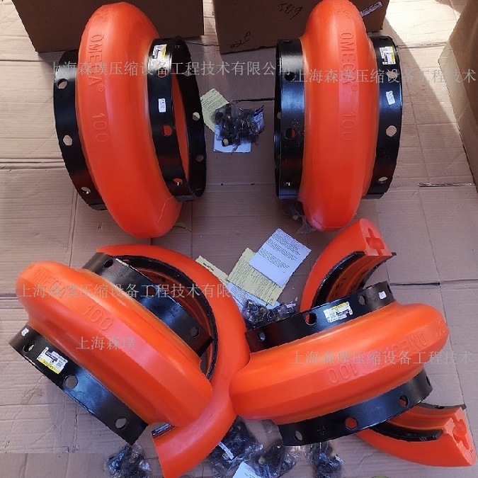 REX Omega100MS