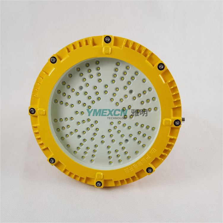 BFC8125̑BSoLED70W IP66 AC220V