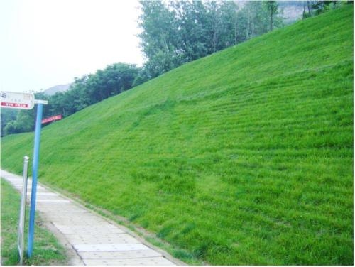 ԺӾGݷNӃr