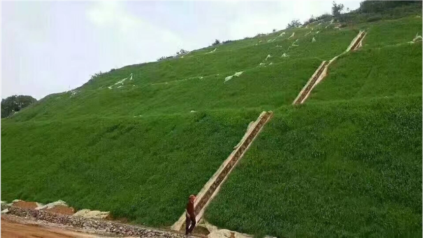 ̲ƺNӾGNӃrL