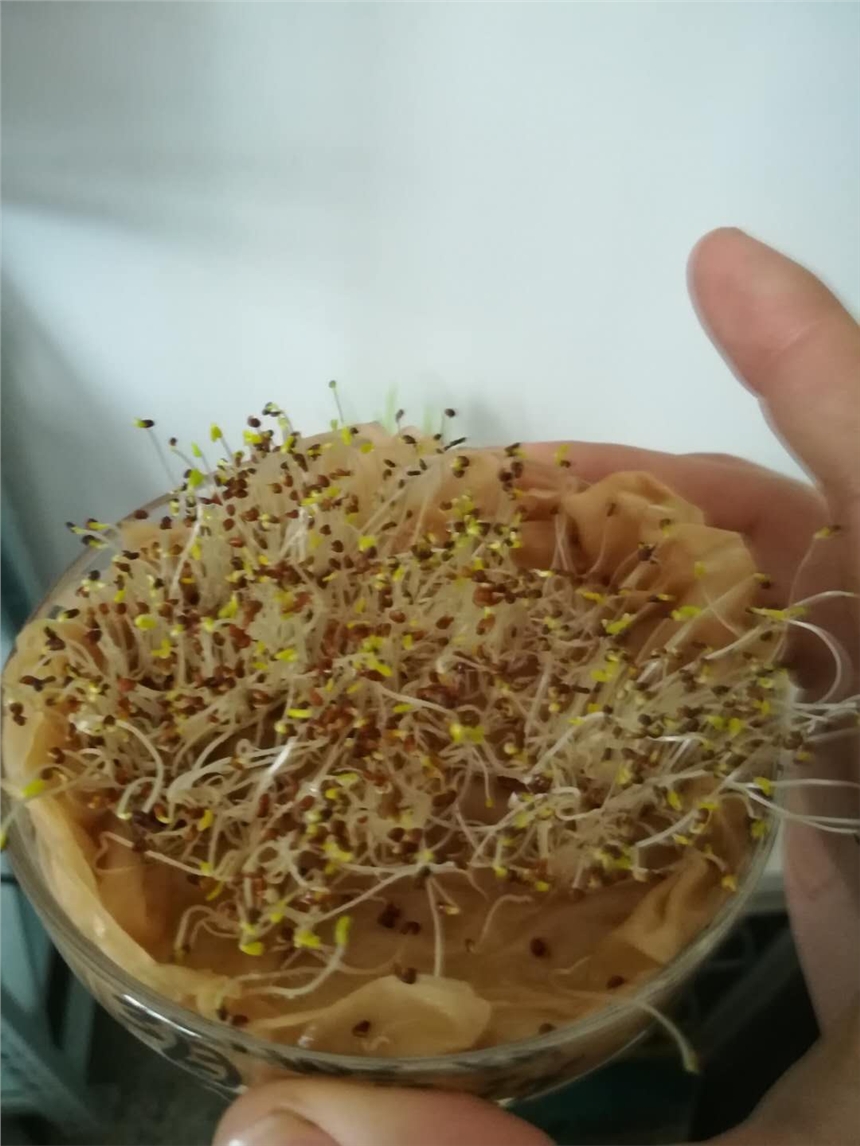Nѵĺ̎u