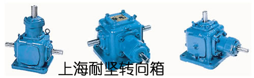 T20FX݆